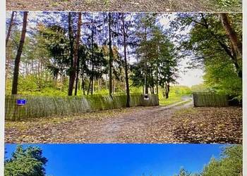 Sprzedam działkę gm. Wieliszew 15 km od Warszawy