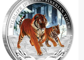Tygrysy Syberyjskie Srebrna moneta kolekcjonerska seria „WILDLIFE IN NEED”