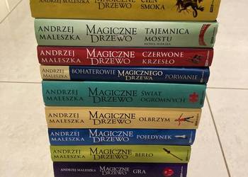 Sprzedam zestaw książek Magiczne Drzewo