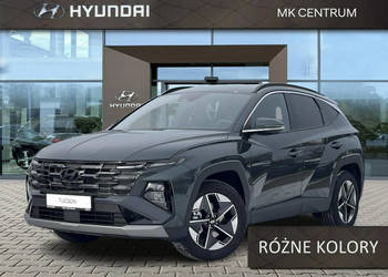 Hyundai Tucson Executive + Comfort | RÓŻNE KOLORY | 1.6 T-GDI 7DCT 2WD 150…