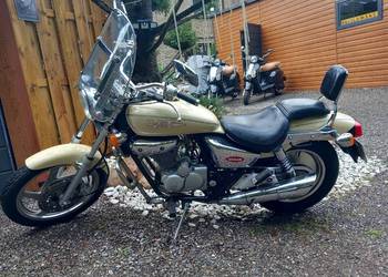 Sprzedam Czopera Dellim VTEvolution