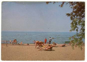 TOLKMICKO PLAŻA NAD ZALEWEM WIŚLANYM