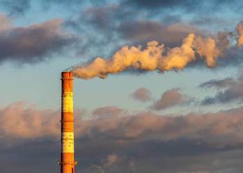 Raport Kobize, Łowicz, Brodnica, Nowy Dwór Mazowiecki, Czerwionka-Leszczyny