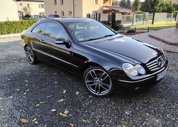 Mercedes Clk 209 wenzyna z gazem Mercedes Clk 209 wenzyna z gazem