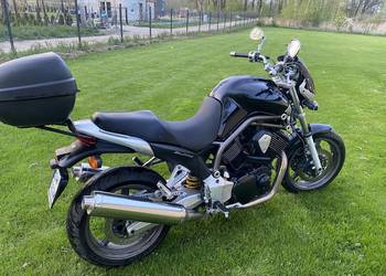 Yamaha Bulldog 1100, 2003 r.