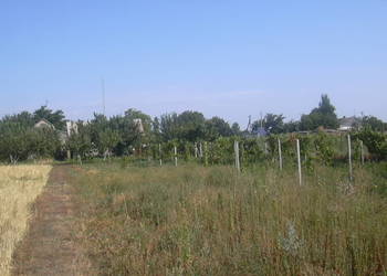 Morze Czarne Ziemia 0.25 Ha