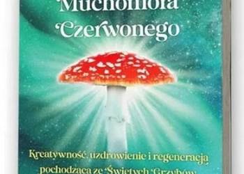 Mikrodozowanie Muchomora Czerwonego - Masha Baba