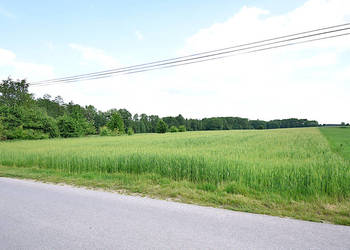 Sprzedam działkę budowlaną w okolicy Czarnolasu