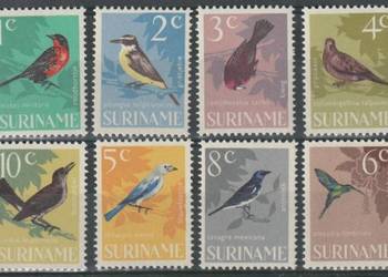 SURINAM - PTAKI - FAUNA - CZYSTE **
