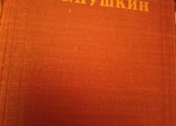 Puszkina książki rosyjskie oryginalny Eugeniusz Oniegin okaz