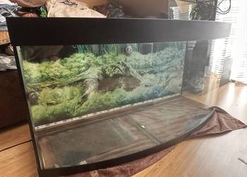 Duże akwarium panoramiczne z oświetleniem 120x45x60 300l