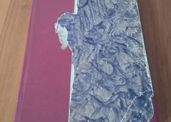 Elektryczność i magnetyzm / Edward M. Purcell Berkeley Physics Course 2