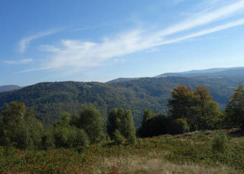 Brenna 2,53 ha działka inwestycyjna blisko wyciągu