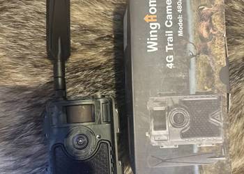 Fotopułapka winghome 480ace