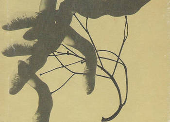 Poezja polska 1914 - 1939,t. II - Antologia.