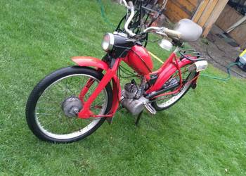 Romet Komar sztywniak 232