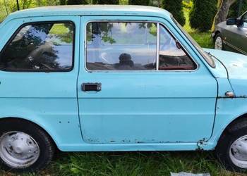 126p turchese farfalla 463