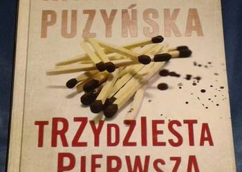 Więcej czerwieni. Część 1 - Katarzyna Puzyńska