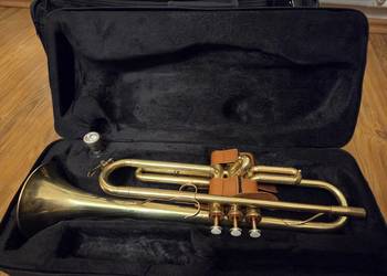 Trąbka WFDiP Polmuz