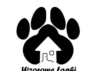 Profesjonalne szkolenie psów, trener lęku separacyjnego