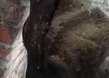 Przekładnia, rozrzutnik obornika