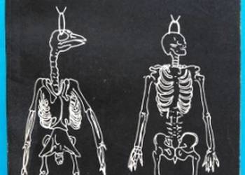 WIZJA LOKALNA - LEM STANISŁAW WIZJA LOKALNA - LEM STANISŁAW