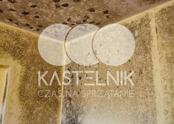 Odgrzybianie ścian Kalisz - Kastelnik - Usuwanie grzybów i pleśni