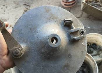 Panonia szczękotrzymacz przód