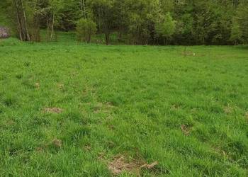 Działka budowlana na sprzedaż