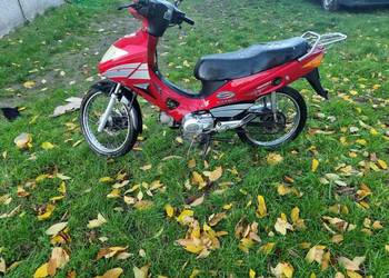 Zipp romet salmo 50