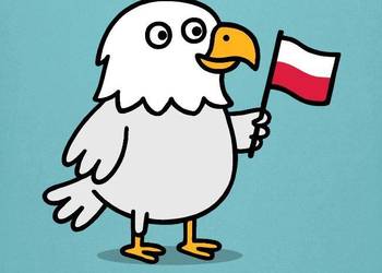 Bluza młodzieżowa patriotyczna Polska orzełek z flagą Polski
