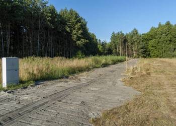 Las 30 letni z mozliwoscia budowy domu na dzialce