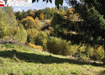 Kameralne miejsce z pięknym widokiem