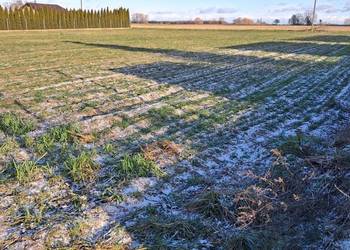 Działka budowlana GIEWARTÓW gm. Ostrowite, MPZP, media