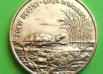 2 zł 2002 r. Żółw