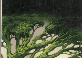 (01543) NATURA – MARIA KUNCEWICZOWA (SERIA LITERATURY XXX LE