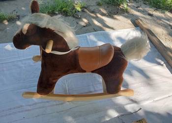 Konik na biegunach