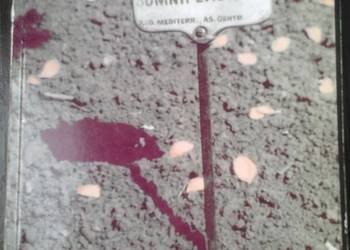 OSTATNI HIPPIS PRL-U CZYLI METAFIZYKA PÓŁ... - KONIECZNY