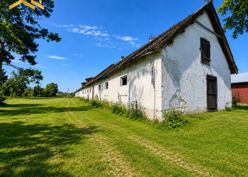 Wysoka
