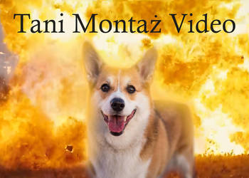 TANI, PROFESJONALNY montaż video na każdą kieszeń