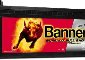 Akumulator Banner 145Ah 800A BANNER SHD PRO