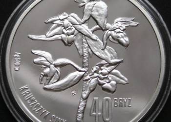 POLSKA 40 BRYZ 2008 - SREBRO - STAN MENNICZY