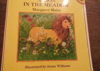 A lion in the meadow. Po angielsku!