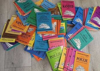 Biblioteczka opracowań