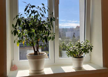 Słoneczna, ciepła kawalerka w sercu Redy ul.Poniatowskiego 31