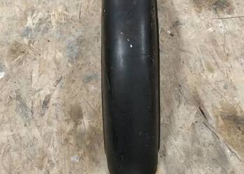 Komar błotnik przedni