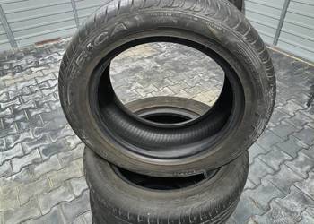 Opony letnie Dębica Presto