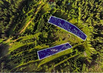 DZIAŁKI ROLNE - SPRZEDAŻ DZIANISZ-DZIEDZICÓWKA