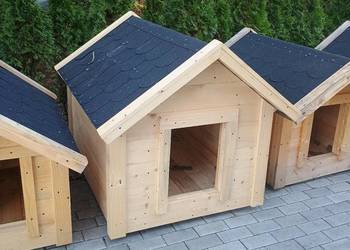 Budy dla psów