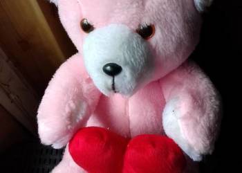 Sprzedam misia pluszowego